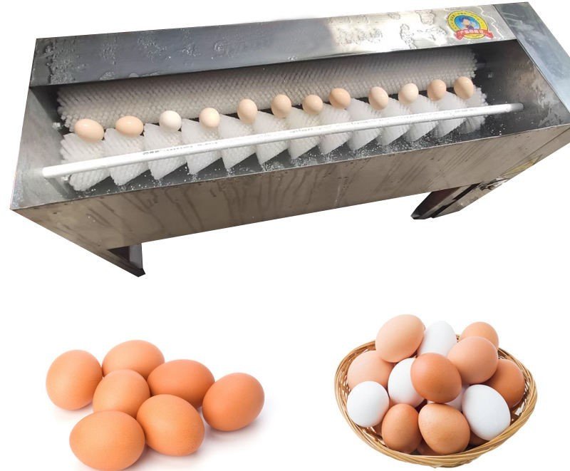 Linear Single Row Egg Washing Machine Model EWM 12S