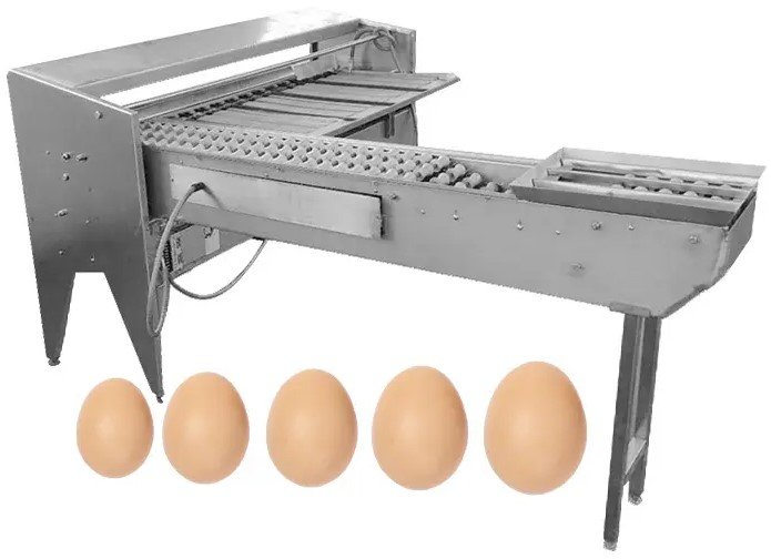 Egg Sorting Grading Machine Model EGM 361