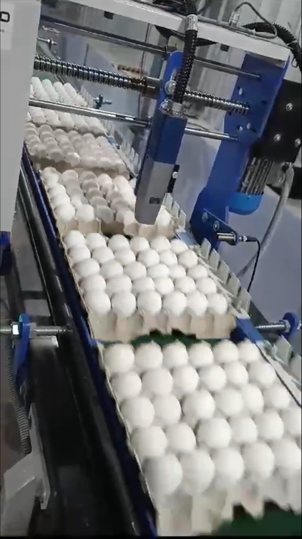 High Speed Traversing Head Single Head Egg Jet Printer Model IJP EGG HS 15mm